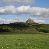 paysage-typique-ardechois