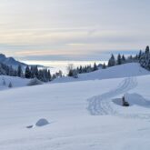 sejour-raquettes-balneo-parc-chartreuse