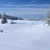 tour-parc-chartreuse-raquettes-gite
