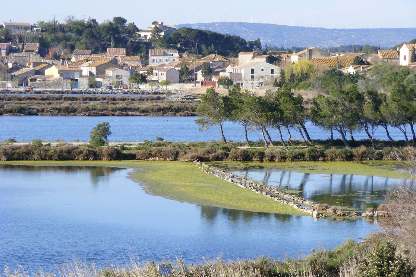 marais-avec-village-enfond Vue sur les étangs et les habitations en bord de mer.