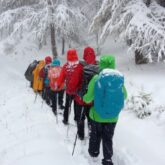 sejour-raquettes-haute-ubaye-itinerance