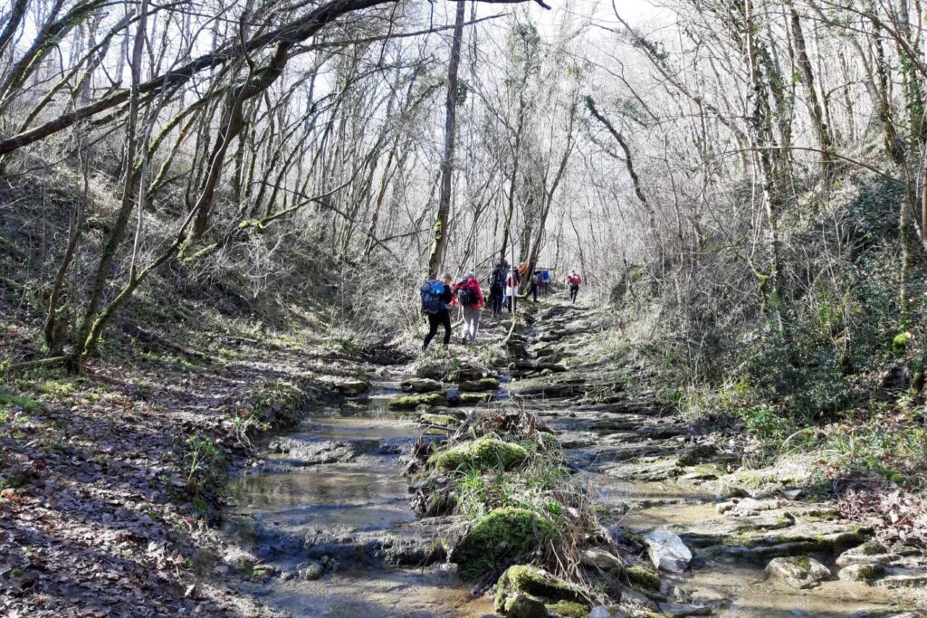 Sentier forestier traversé par un ruisseau pendant la Via Garona.