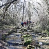 Chemin-forestier-via-garona