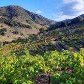 GR10-etape-8-liberte-vernet-banyuls