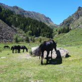 GR10-sejour-liberte-randonnee-bagneres-de-luchon-aulus