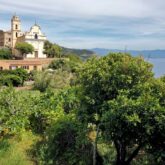 Joli-village-corse