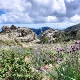 Paysage Corse