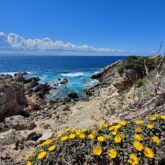 Point de vue Corse