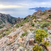 Randonnée Corse