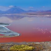 Laguna Colorada