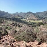 baleares-sentier-ile