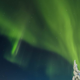 norvège-aurores-boreales-raquettes