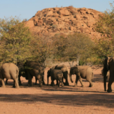 trek-desert-namibie-chutes-victoria