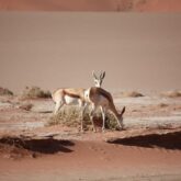 trek-namibie-chutes-victoria