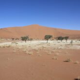 trek-namibie-grande-traversee-sauvage