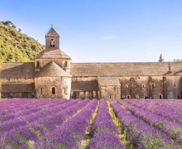 Abbaye de Sénanque ok