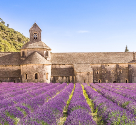 Abbaye de Sénanque ok