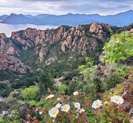 Point de vue lors d'une randonnée en Corse.