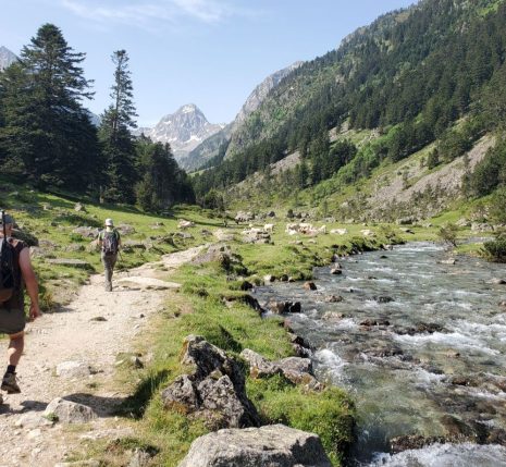 Groupe de randonneurs sur le chemin du lac de Gaube
