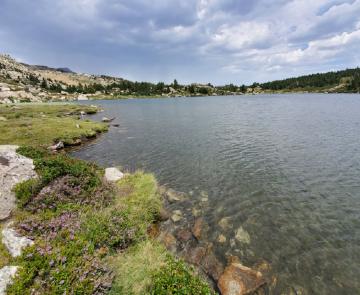 Paysage de montagne avec un lac au centre de l'image encadré de végétation