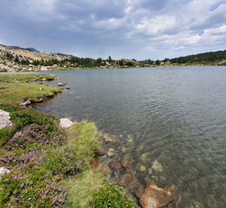 Paysage de montagne avec un lac au centre de l'image encadré de végétation