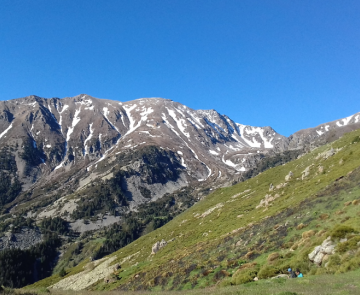 Paysage de montagne avec un flanc de montagne verdoyant et en face des sommets encore enneigés