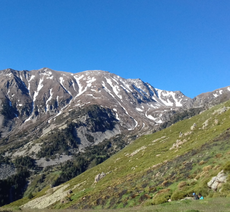 Paysage de montagne avec un flanc de montagne verdoyant et en face des sommets encore enneigés