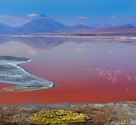 Vue sur la Laguna Colorada lors d'un séjour sur l'Altiplano.