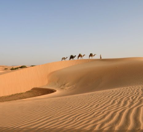 Mauritanie 8