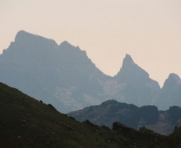 Paglia_fond Paglia_fond