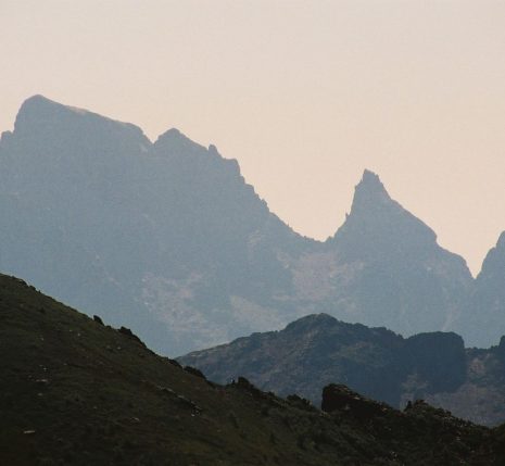 Paglia_fond Paglia_fond