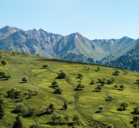 Sancy┬®P.Saint-Jean ok