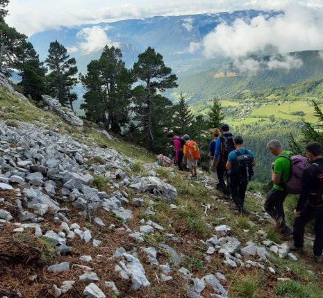Vercors 1