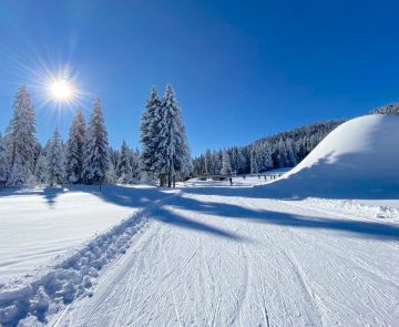 Vercors skating 1