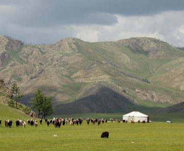 Paysage de montagne en Mongolie avec en fond une yourte et un troupeau
