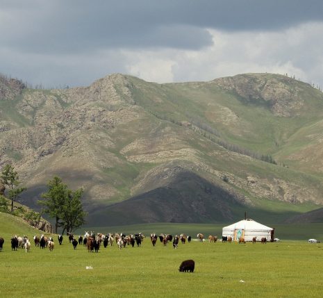 Paysage de montagne en Mongolie avec en fond une yourte et un troupeau