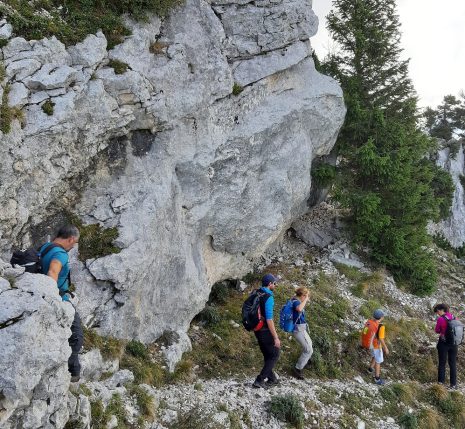 Groupe de randonneurs sur un sentier dans le Vercors encadré de roches et d'arbres