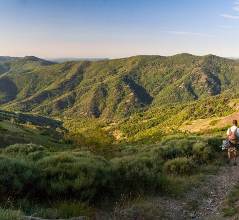 Paysage observé lors de la randonnée du chemin de Stevenson avec des montagnes couvertes d'arbres et de végétation