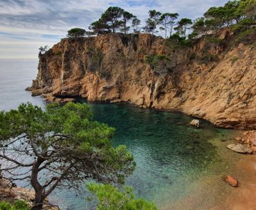 Paysage côtier avec des falaises autour de la crique et des arbres, en Costa Brava