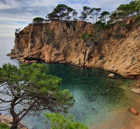 Paysage côtier avec des falaises autour de la crique et des arbres, en Costa Brava