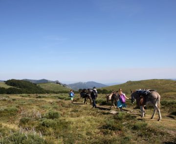 enfants-promenant-les-ânes