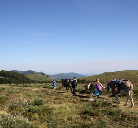 enfants-promenant-les-ânes