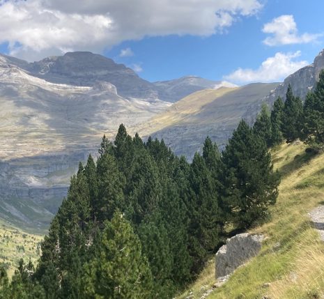 Groupe de randonneurs sur un sentier dans le secteur d'Ordesa avec leur guide