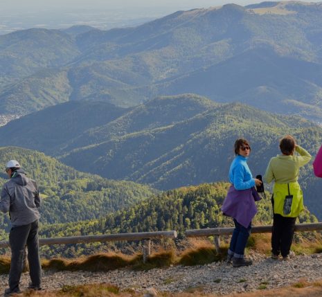 Groupe de randonneurs sur un sentier de randonnée dans les Vosges