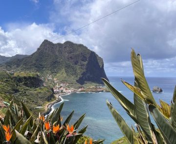 Paysage sur l'île de Madère, avec au premier plan des fleurs et à l'arrière-plan des sommets qui se jettent dans l'eau