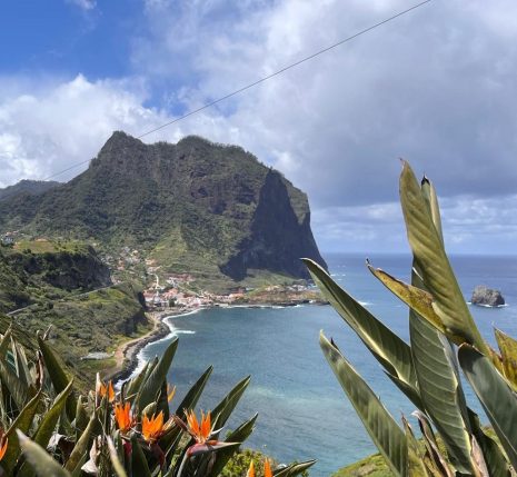 Paysage sur l'île de Madère, avec au premier plan des fleurs et à l'arrière-plan des sommets qui se jettent dans l'eau