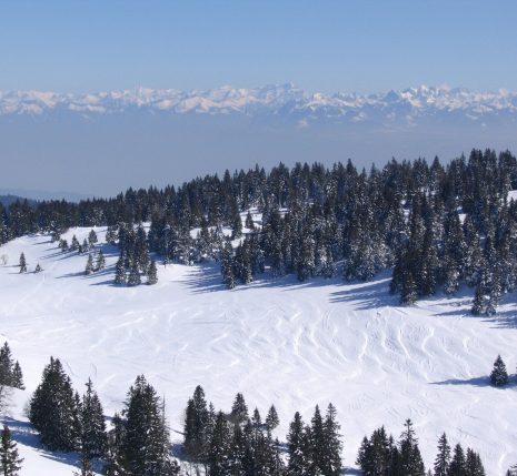 Paysage hivernal dans le Jura avec des arbres de part et d'autre