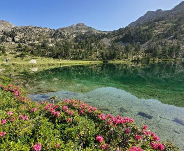 Paysage de montagne dans le massif du Néouvielle avec un lac au premier plan et des sommets à l'arrière