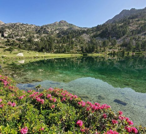 Paysage de montagne dans le massif du Néouvielle avec un lac au premier plan et des sommets à l'arrière