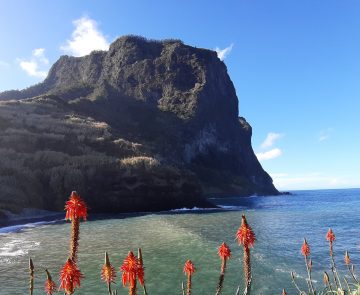 Paysage de bord d'océan à Madère dans les Baléares